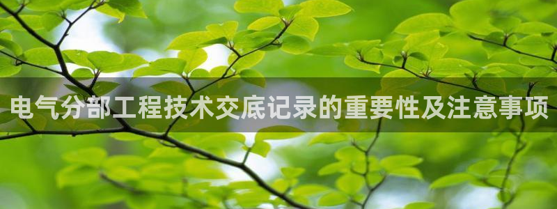 凯发国际亚洲有限公司：电气分部工程技术交底记录的重